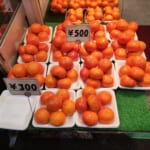 フルーツ旬　冬柿