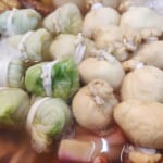 ♢旦過うどん♢　餅巾着　ロールキャベツ