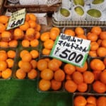♢フルーツショップ八木♢山川みかん！