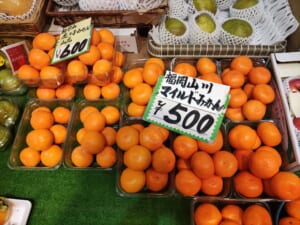 ♢フルーツショップ八木♢山川みかん！