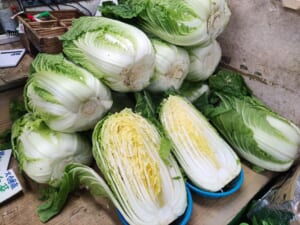 ♢矢原商店♢旦過食市祭.半額市！白菜が旨い！