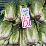 矢原商店　白菜150円！