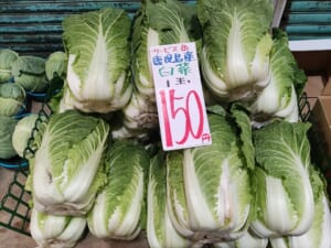 矢原商店　白菜150円！