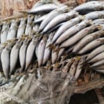 ◀海産物のやまいち▶丸干し真いわし串10尾200円！