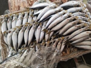 ◀海産物のやまいち▶丸干し真いわし串10尾200円！