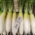 ◀中村商店▶2/28若松葉付き大根150円