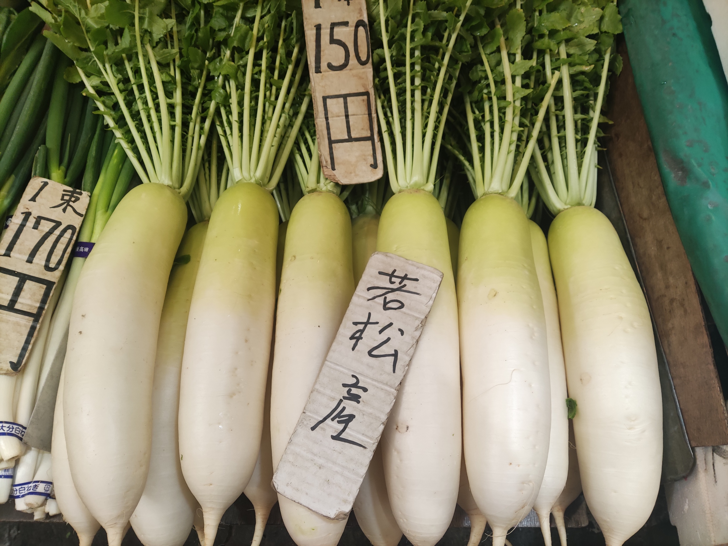 ◀中村商店▶2/28若松葉付き大根150円