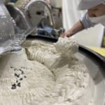 【小倉かまぼこ】最高級のすり身♪