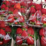 九州まぐろ♢【今日はこれ！2/5】特選鉄火丼600円！