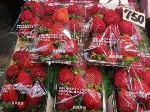 ◀フルーツショップ八木▶電子いちご