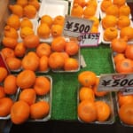 ◤フルーツ旬◢美味しいポンカン大奉仕！