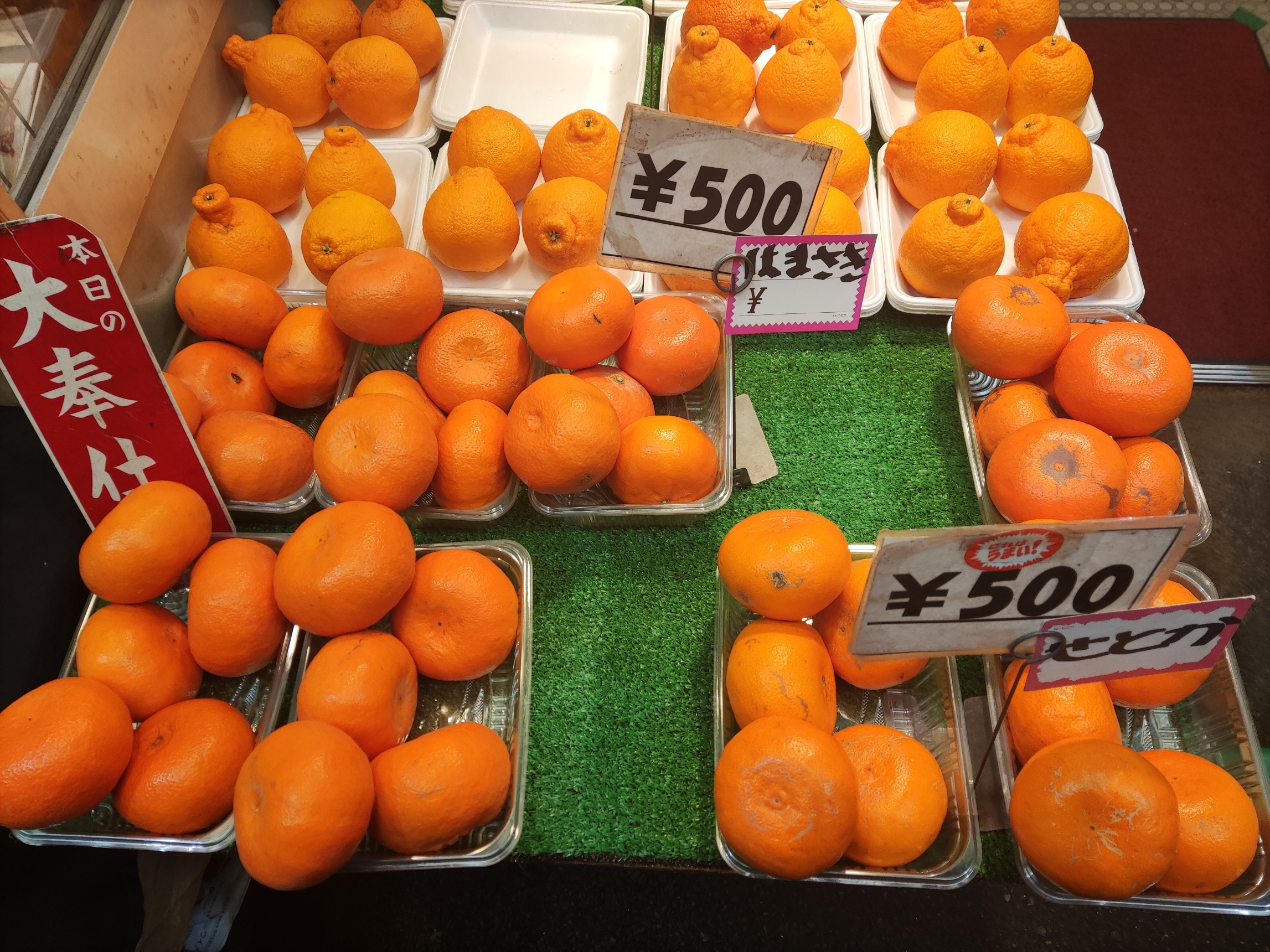 ◤フルーツ旬◢美味しいポンカン大奉仕！