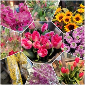 ◤花処パレット田仲◢チューリップの季節