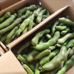 【タンガレンガ/吉永青果店】産地より美味しい野菜届きました